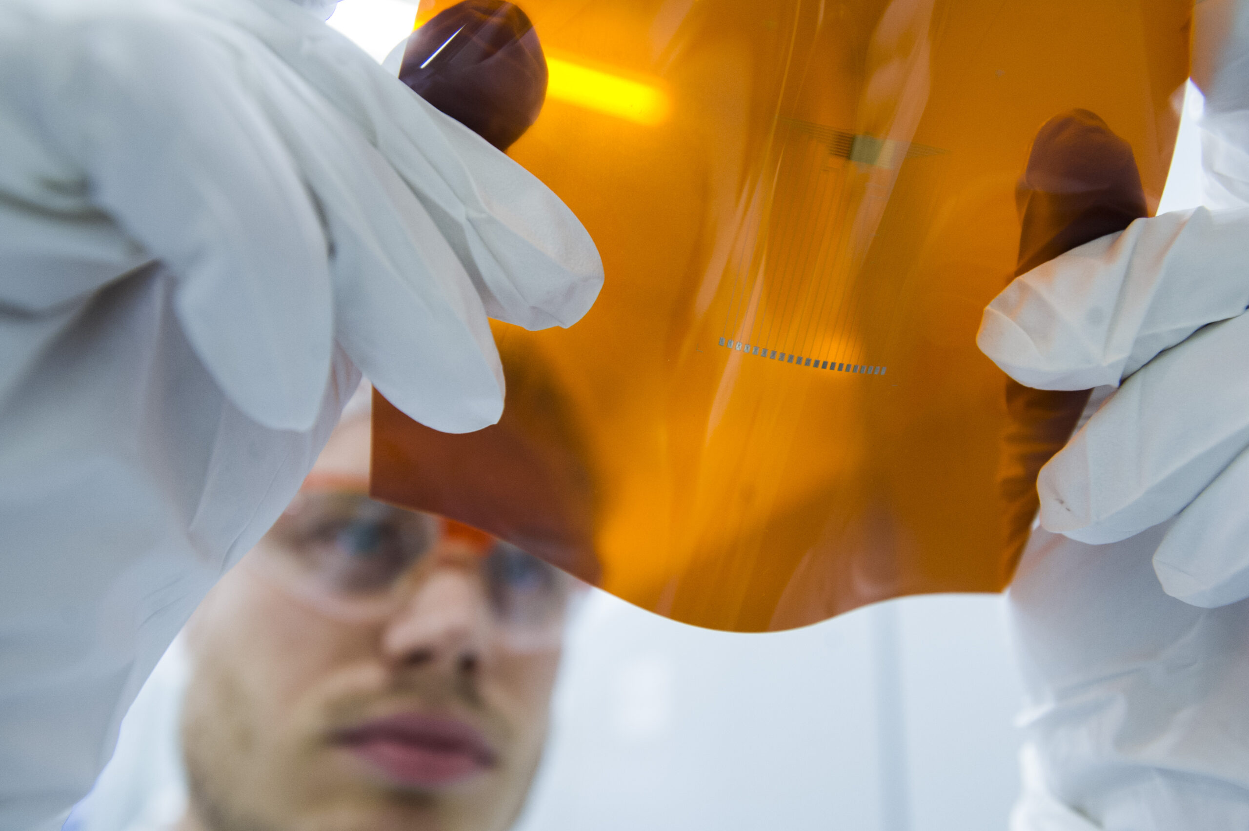 man with gloves watches carefully at a sample foil with printed electronics